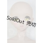 画像: DDIII/DDH-08　D’COORD A-26-03-25-304-NY-ZA