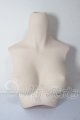 画像: DD/上半身パーツ・M胸 A-26-03-25-317-WT-ZA