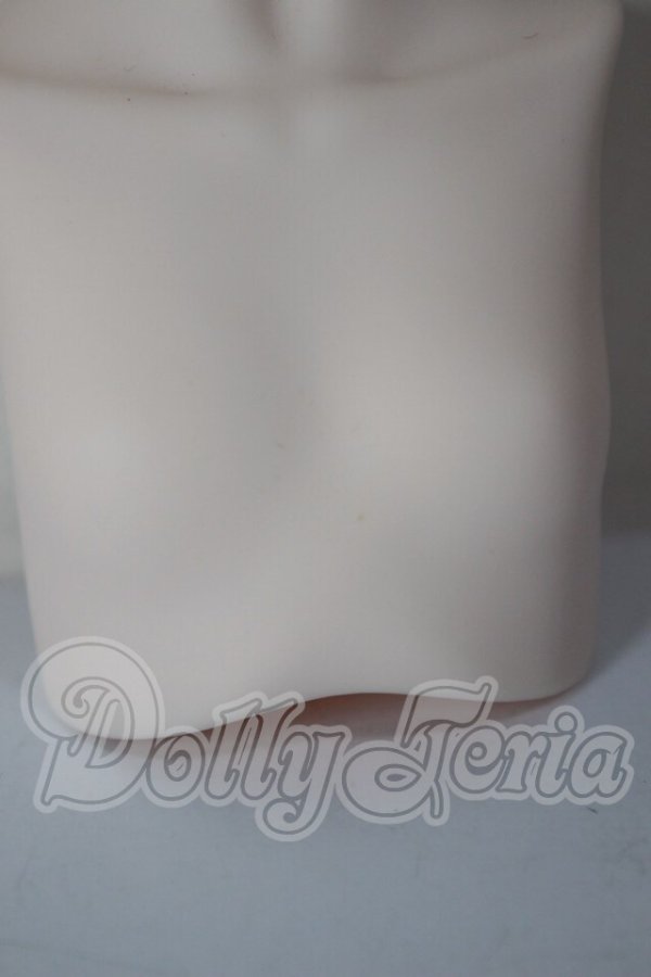 画像4: MDD/上半身パーツ A-26-03-25-318-WT-ZA (4)