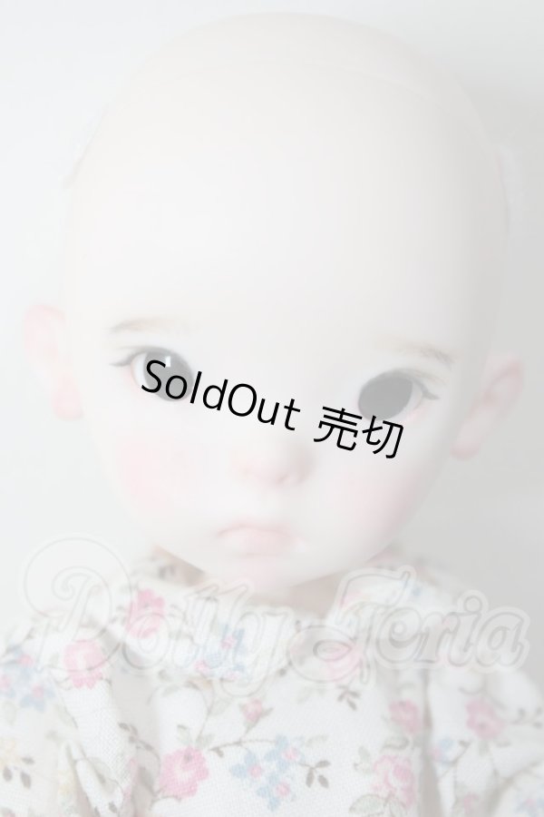 画像2: LANDAZZ DOLL/本体・衣装 A-26-04-01-114-NY-ZA (2)