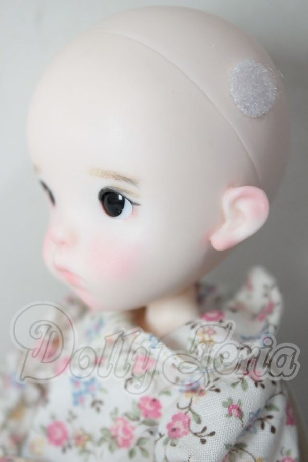 画像4: LANDAZZ DOLL/本体・衣装 A-26-04-01-114-NY-ZA (4)