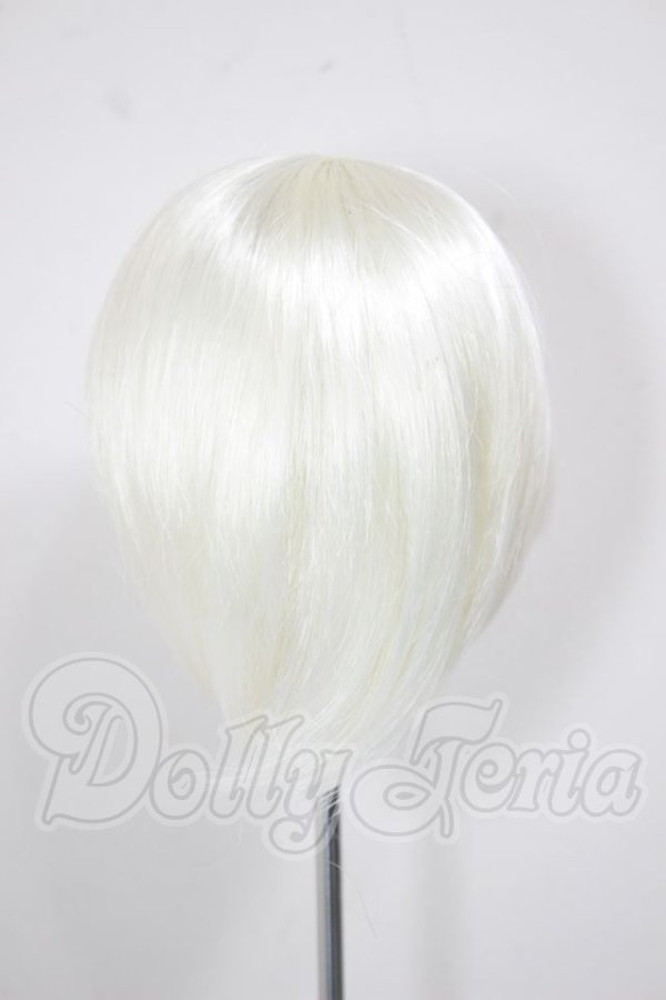 画像2: 7-8inch/ウィッグ A-26-04-01-209-NY-ZA (2)