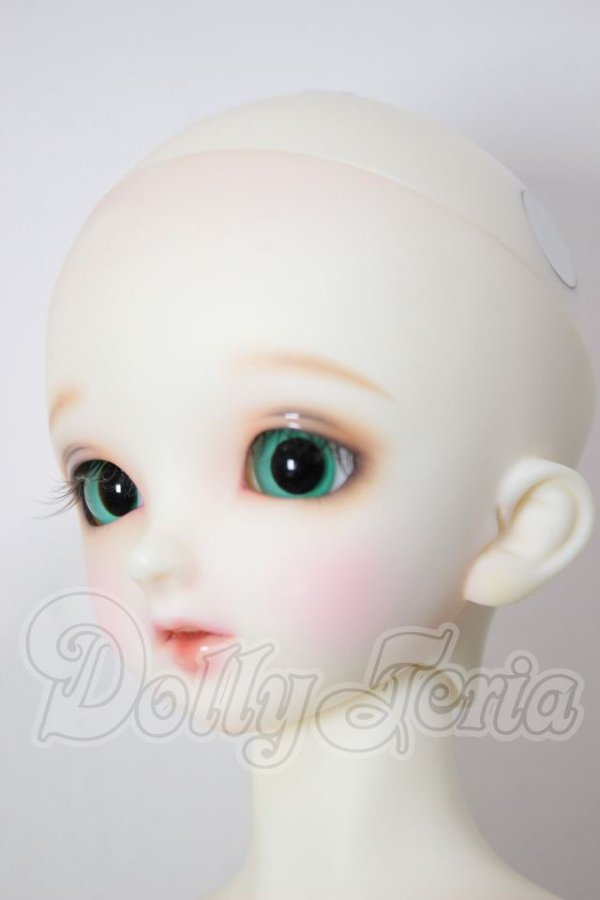 画像2: SDM男の子/フルチョイス:F-33 A-26-04-01-271-NY-ZA (2)