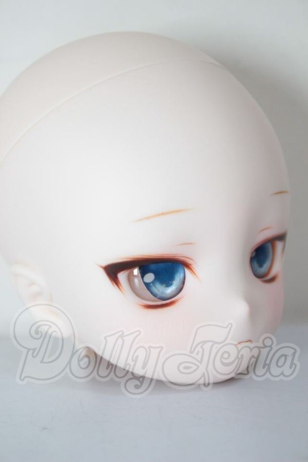 画像3: DD/DDH-29:カスタムヘッド A-26-04-01-268-NY-ZA (3)