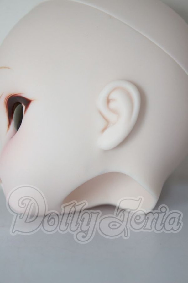 画像5: DD/DDH-27:カスタムヘッド A-26-04-01-263-NY-ZA (5)