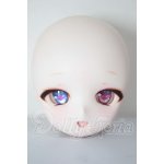 画像: DD/DDH-01 カスタムヘッド A-26-04-01-260-NY-ZA