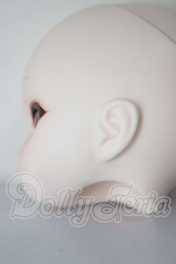 画像5: DD/DDH-01 カスタムヘッド A-26-04-01-260-NY-ZA (5)