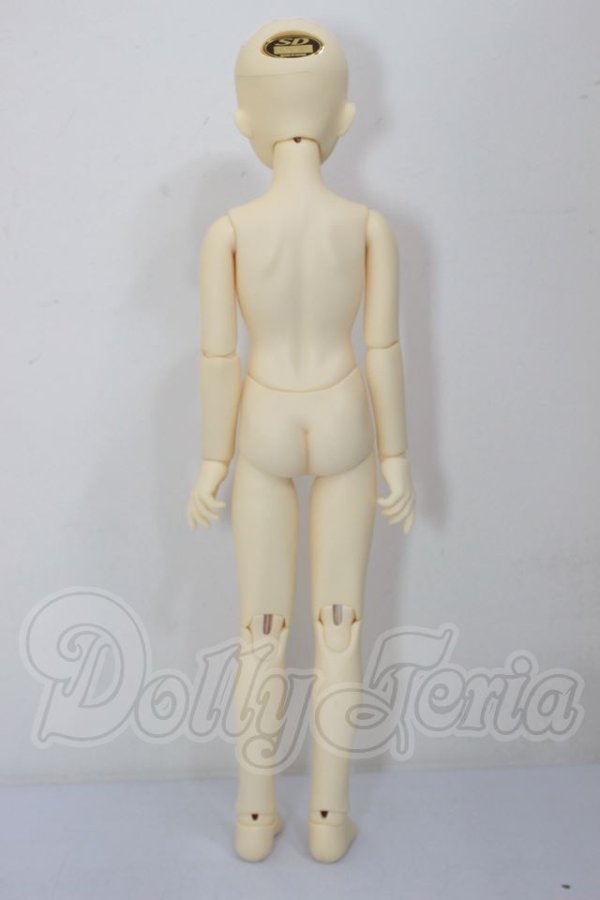 画像4: SDM男の子/F-24　フルチョイス A-26-04-01-315-NY-ZA (4)