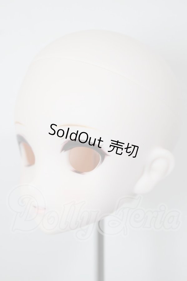 画像3: D'COORD/DDH-24 ヘッド A-26-04-08-106-NY-ZA (3)