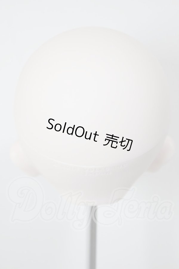 画像4: D'COORD/DDH-24 ヘッド A-26-04-08-106-NY-ZA (4)