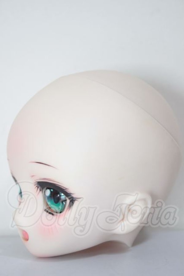 画像2: DD/DDH-01 カスタムヘッド A-26-04-08-255-NY-ZA (2)