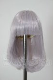 画像1: 4inch/ウィッグ A-26-04-08-308-NY-ZA (1)