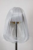 画像1: 4inch/ウィッグ A-26-04-08-307-NY-ZA (1)
