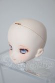 画像3: オビツ11/OBドールヘッド E-03　カスタムヘッド A-26-04-08-327-NY-ZA (3)