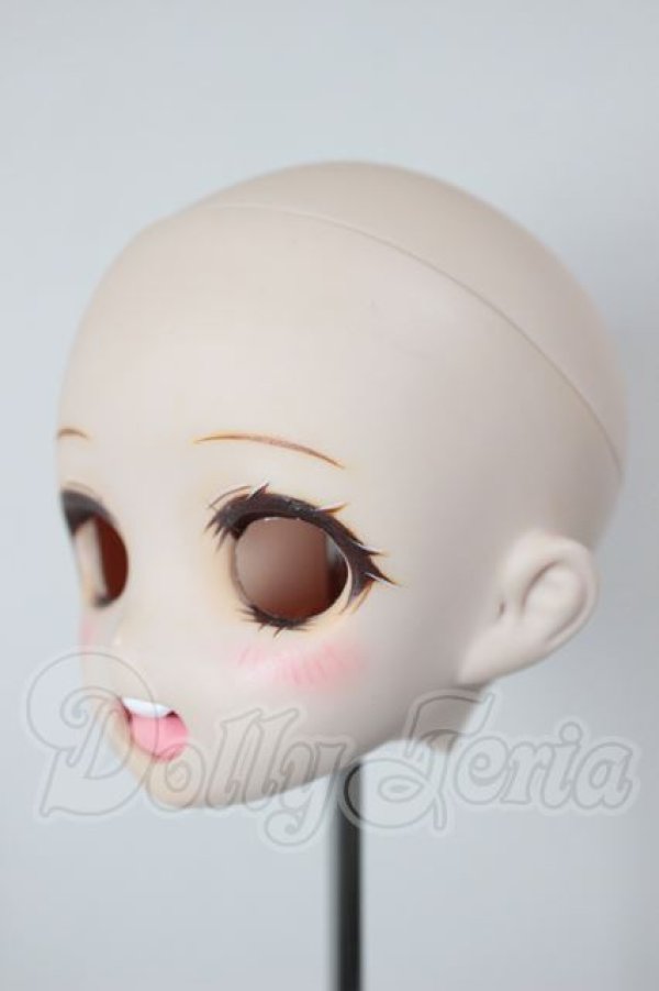 画像3: DDH-08/カスタムヘッド A-26-04-08-354-WT-ZA (3)