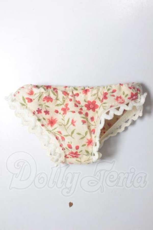 画像1: MDD/OF:下着 A-26-04-08-375-WT-ZA (1)