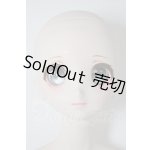 画像: DD/DDH-06ヘッド+DD2.0ボディ A-26-04-08-352-WT-ZA