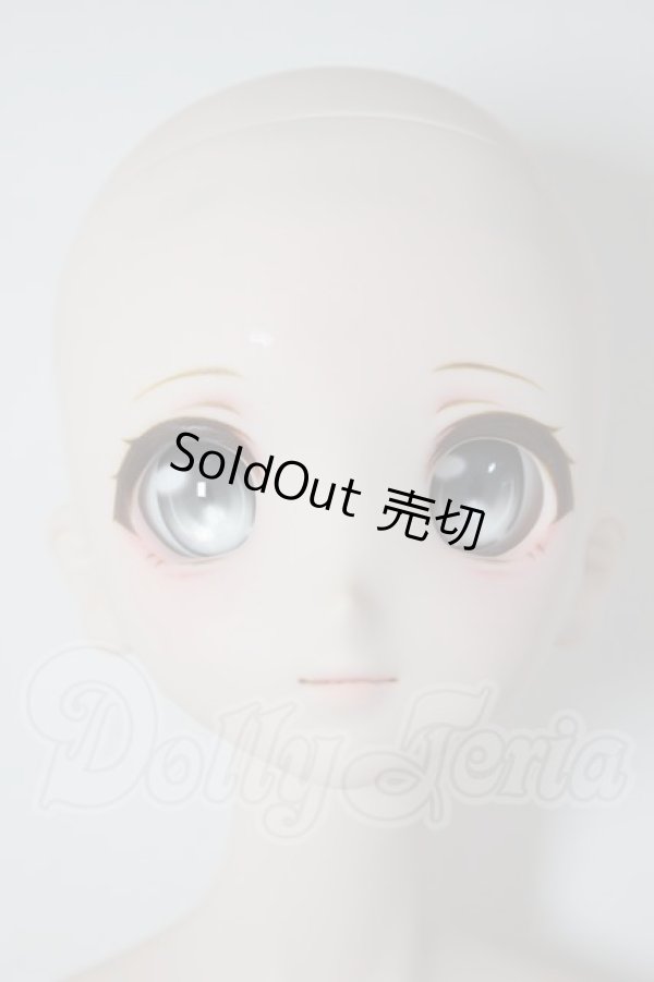 画像1: DD/DDH-06ヘッド+DD2.0ボディ A-26-04-08-352-WT-ZA (1)