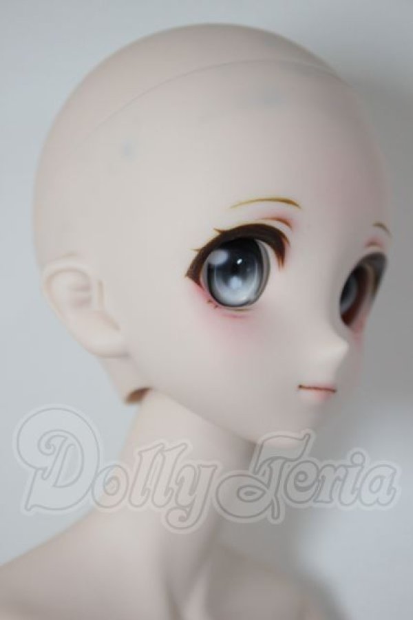 画像2: DD/DDH-06ヘッド+DD2.0ボディ A-26-04-08-352-WT-ZA (2)