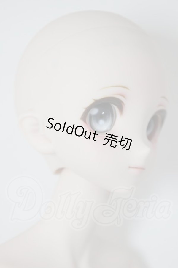 画像2: DD/DDH-06ヘッド+DD2.0ボディ A-26-04-08-352-WT-ZA (2)