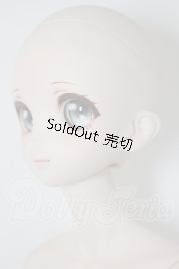 画像3: DD/DDH-06ヘッド+DD2.0ボディ A-26-04-08-352-WT-ZA (3)