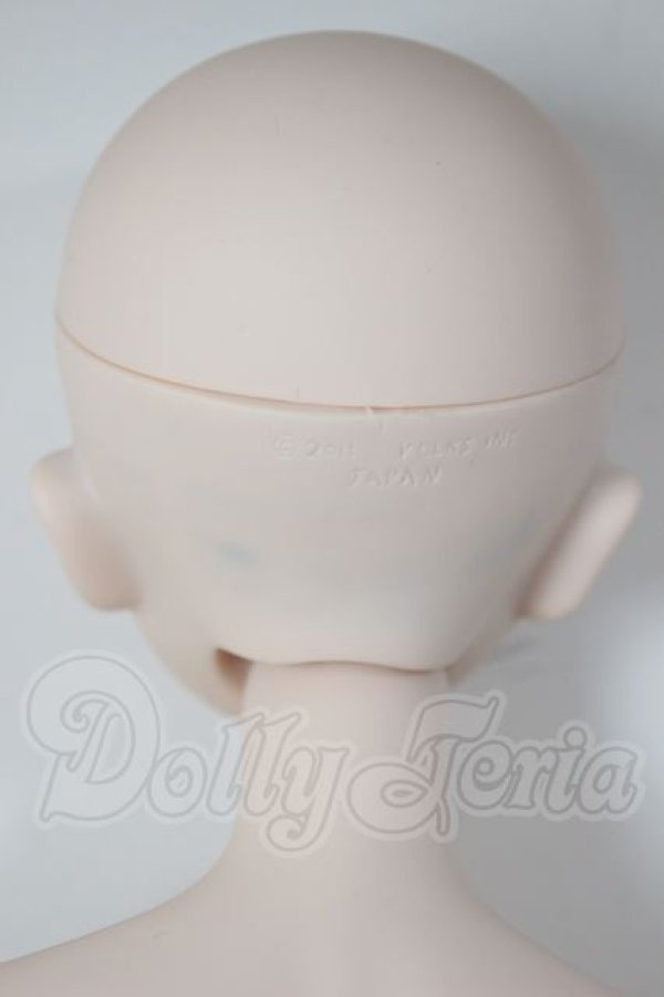 画像4: DD/DDH-06ヘッド+DD2.0ボディ A-26-04-08-352-WT-ZA (4)