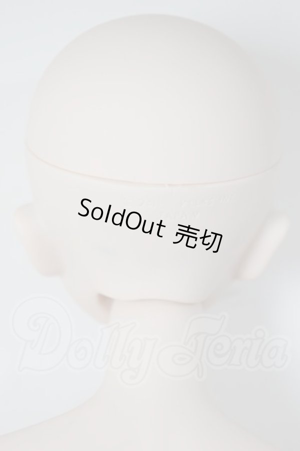 画像4: DD/DDH-06ヘッド+DD2.0ボディ A-26-04-08-352-WT-ZA (4)