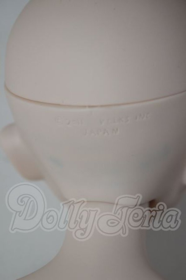 画像7: DD/DDH-06ヘッド+DD2.0ボディ A-26-04-08-352-WT-ZA (7)