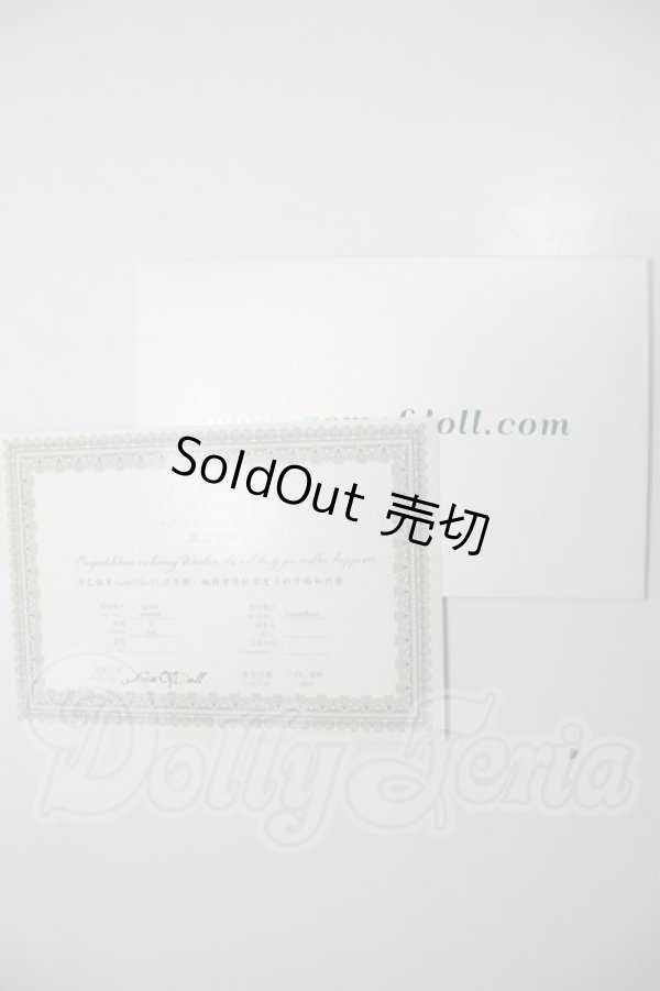 画像5: Gem of Doll/1/4 Windsor Body Ver.3 (GEM4-G004) A-26-04-08-351-WT-ZA (5)