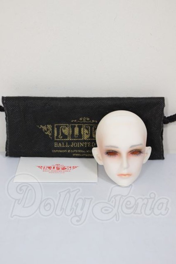 画像5: LUTS/Super Senior Delf WAVE　ヘッド A-26-04-08-400-NY-ZA (5)