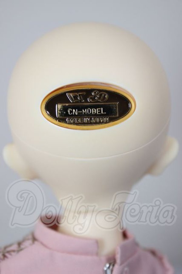 画像5: SDMGIRL/コーディネイトモデルF-58 A-26-04-08-398-NY-ZA (5)