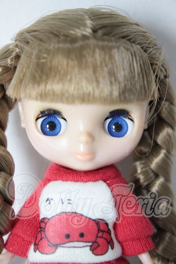 画像1: プチブライス/レインボーウィッシュ A-26-04-15-220-NY-ZA (1)