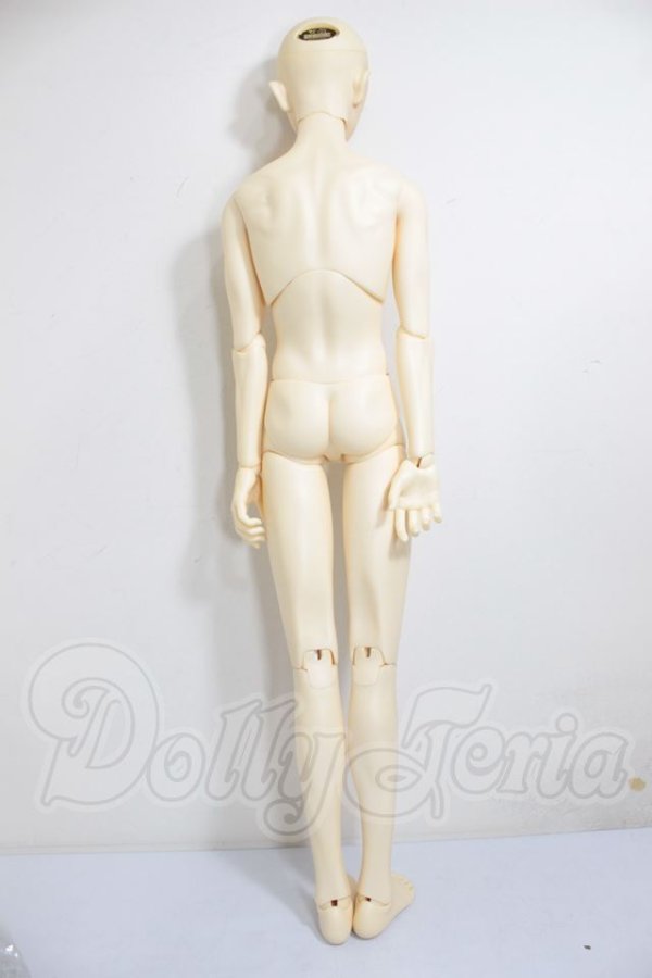 画像7: SD17BOY/ウィリアムズ　Commodore Ver.2 A-26-04-15-251-NY-ZA (7)