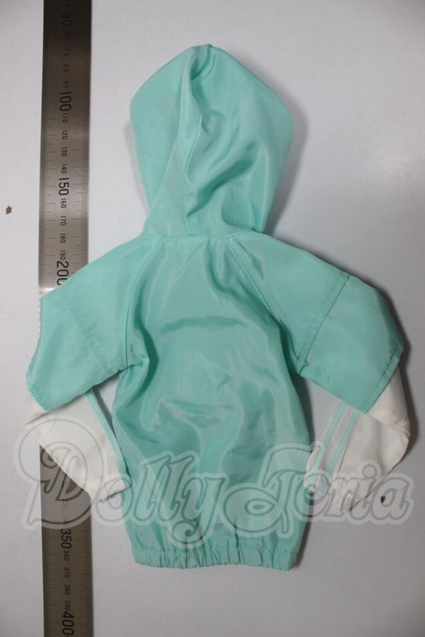 画像2: MDD/OF:パーカー A-26-04-15-317-NY-ZA (2)