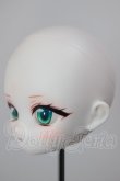 画像3: PD×SWDOLL/カスタムヘッド A-26-04-15-311-NY-ZA (3)