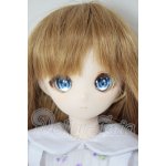 画像: パラボックス/姉姫ヘッド＆45ｃｍ女性ボディ A-26-04-15-396-NY-ZA