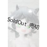 画像: 悪魔角/怠惰 異色 A-26-04-15-313-NY-ZA