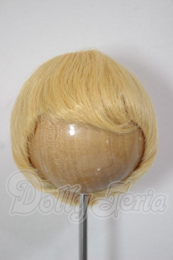 画像1: 8-9inch/ウィッグ A-26-04-22-230-NY-ZA (1)