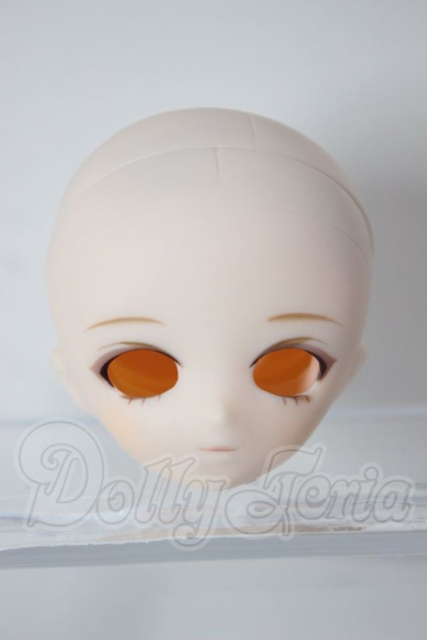 画像1: PARABOX/PB21-03ヘッド A-26-04-22-156-NY-ZA (1)