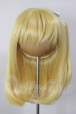 画像1: 8-9inch/ウィッグ A-26-04-22-160-NY-ZA (1)