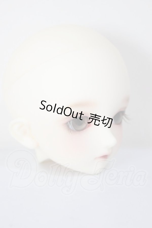 画像3: SDM/F-33:コーディネートモデル A-26-04-22-292-NY-ZA (3)