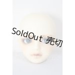 画像: MSD/シュルツ A-26-04-22-295-NY-ZA