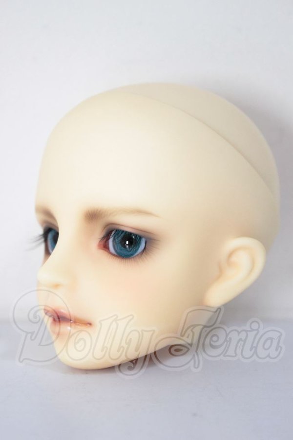 画像2: MSD/シュルツ A-26-04-22-295-NY-ZA (2)