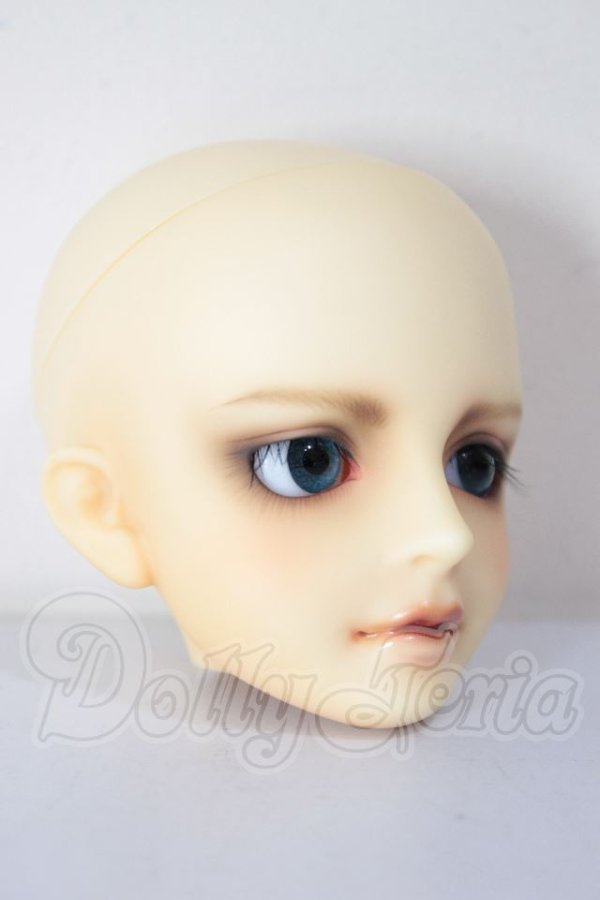 画像3: MSD/シュルツ A-26-04-22-295-NY-ZA (3)