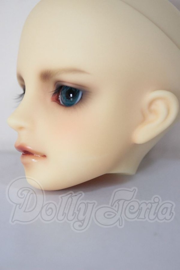 画像6: MSD/シュルツ A-26-04-22-295-NY-ZA (6)