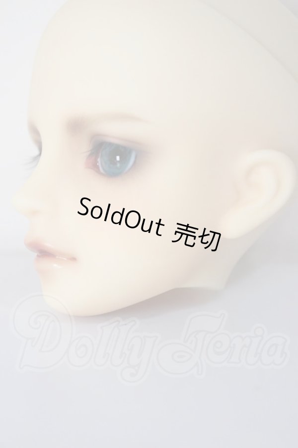 画像6: MSD/シュルツ A-26-04-22-295-NY-ZA (6)