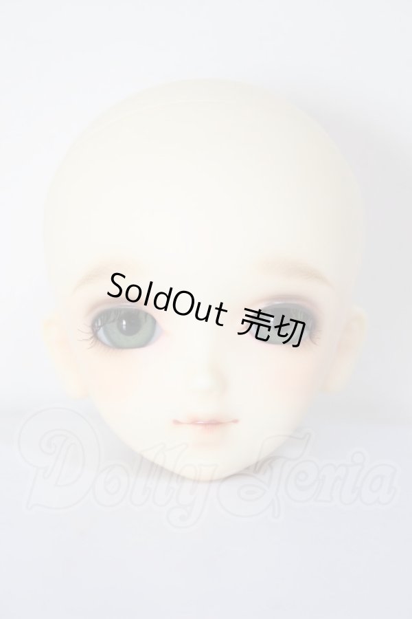 画像1: SDM女の子/F-17　コーディネートモデル A-26-04-22-293-NY-ZA (1)