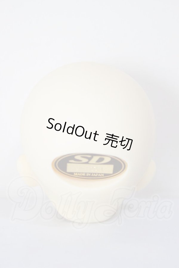 画像4: SDM女の子/F-17　コーディネートモデル A-26-04-22-293-NY-ZA (4)