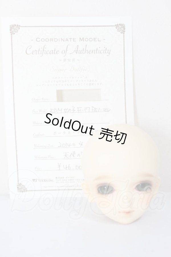 画像5: SDM女の子/F-17　コーディネートモデル A-26-04-22-293-NY-ZA (5)