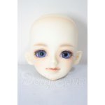 画像: 京天使/白鳥 A-26-04-22-297-NY-ZA